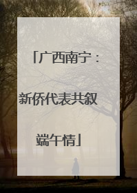 广西南宁：新侨代表共叙端午情