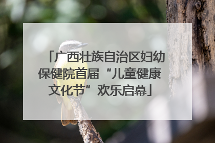 广西壮族自治区妇幼保健院首届“儿童健康文化节”欢乐启幕