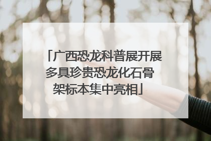 广西恐龙科普展开展 多具珍贵恐龙化石骨架标本集中亮相
