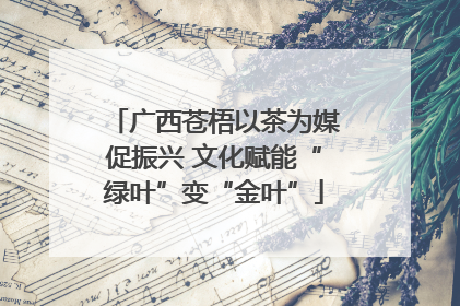 广西苍梧以茶为媒促振兴 文化赋能“绿叶”变“金叶”