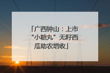 广西钟山：上市“小糖丸”无籽西瓜助农增收