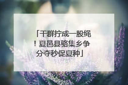 干群拧成一股绳！夏邑县骆集乡争分夺秒促夏种
