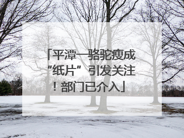 平潭一骆驼瘦成“纸片”引发关注！部门已介入