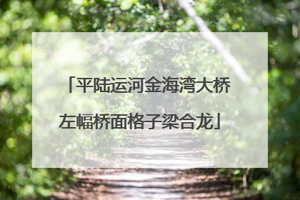 平陆运河金海湾大桥左幅桥面格子梁合龙