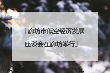 廊坊市低空经济发展座谈会在廊坊举行