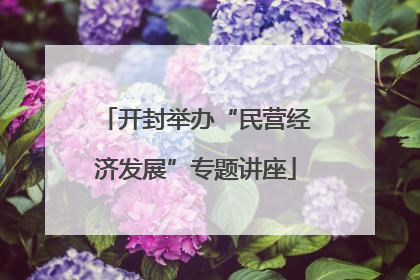 开封举办“民营经济发展”专题讲座
