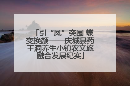 引“凤”突围 蝶变换颜——庆城县药王洞养生小镇农文旅融合发展纪实