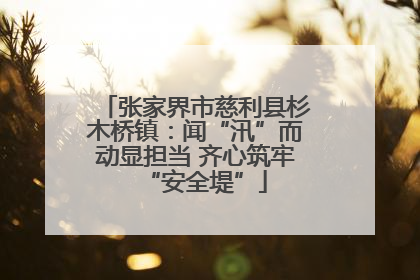 张家界市慈利县杉木桥镇：闻“汛”而动显担当 齐心筑牢“安全堤”