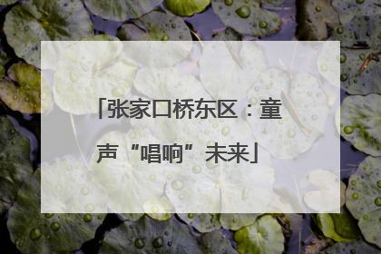 张家口桥东区：童声“唱响”未来