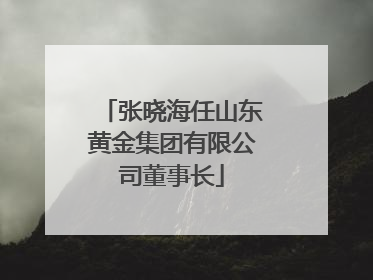 张晓海任山东黄金集团有限公司董事长