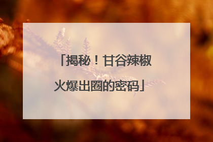 揭秘！甘谷辣椒火爆出圈的密码