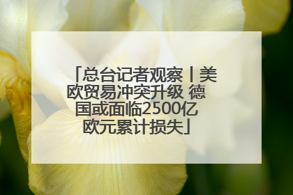 总台记者观察丨美欧贸易冲突升级 德国或面临2500亿欧元累计损失