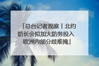 总台记者观察丨北约防长会拟加大防务投入 欧洲内部分歧难掩