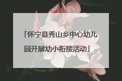怀宁县秀山乡中心幼儿园开展幼小衔接活动