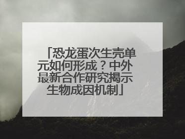 恐龙蛋次生壳单元如何形成？中外最新合作研究揭示生物成因机制