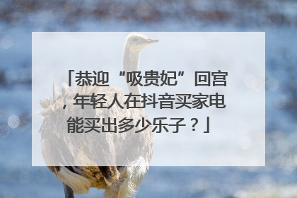 恭迎“吸贵妃”回宫，年轻人在抖音买家电能买出多少乐子？