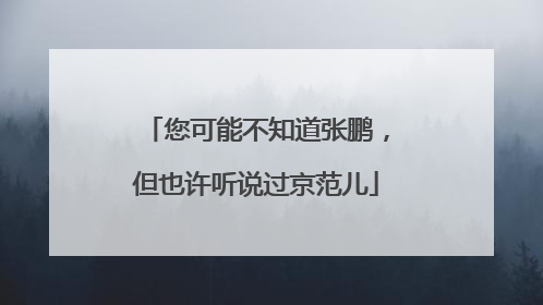 您可能不知道张鹏，但也许听说过京范儿