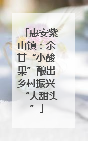 惠安紫山镇:余甘“小酸果”酿出乡村振兴“大甜头”