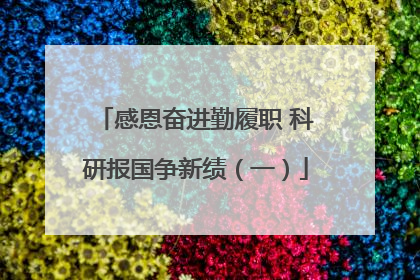 感恩奋进勤履职 科研报国争新绩（一）
