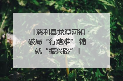 慈利县龙潭河镇：破局“行路难” 铺就“振兴路”