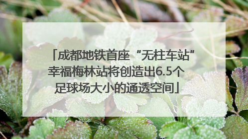 成都地铁首座“无柱车站”幸福梅林站将创造出6.5个足球场大小的通透空间
