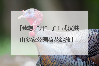 我想“开”了！武汉洪山多家公园荷花绽放