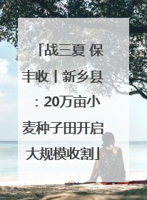 战三夏 保丰收丨新乡县：20万亩小麦种子田开启大规模收割