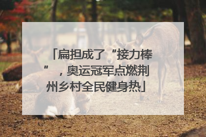 扁担成了“接力棒”，奥运冠军点燃荆州乡村全民健身热