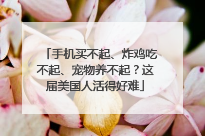 手机买不起、炸鸡吃不起、宠物养不起？这届美国人活得好难