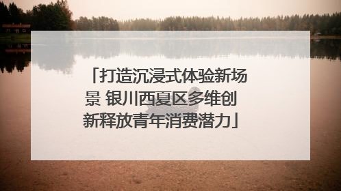 打造沉浸式体验新场景 银川西夏区多维创新释放青年消费潜力