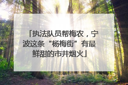 执法队员帮梅农，宁波这条“杨梅街”有最鲜甜的市井烟火
