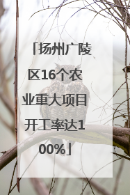 扬州广陵区16个农业重大项目开工率达100%