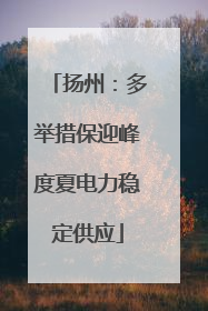 扬州：多举措保迎峰度夏电力稳定供应