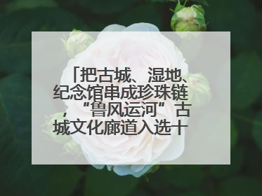 把古城、湿地、纪念馆串成珍珠链，“鲁风运河”古城文化廊道入选十大最美农村路