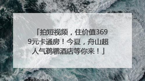 拍短视频，住价值3699元卡通房！今夏，舟山超人气鹈鹕酒店等你来！