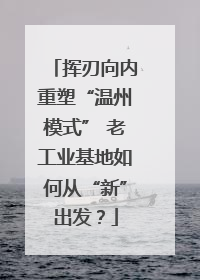 挥刃向内重塑“温州模式” 老工业基地如何从“新”出发？
