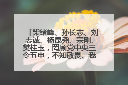 柴绪峰、孙长志、刘志诚、杨昆尧、宗刚、樊桂玉，罔顾党中央三令五申，不知敬畏、我行我素、肆意妄为！