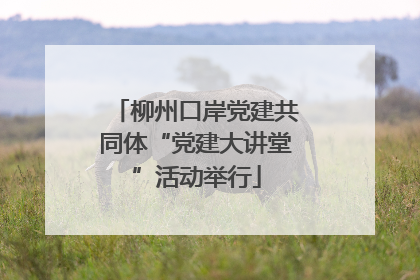 柳州口岸党建共同体“党建大讲堂”活动举行