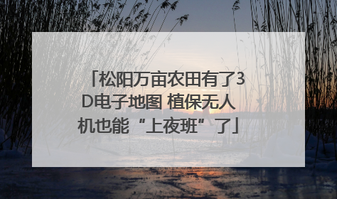 松阳万亩农田有了3D电子地图 植保无人机也能“上夜班”了