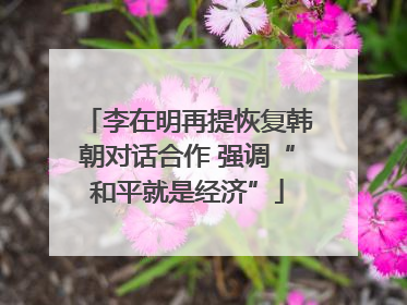 李在明再提恢复韩朝对话合作 强调“和平就是经济”