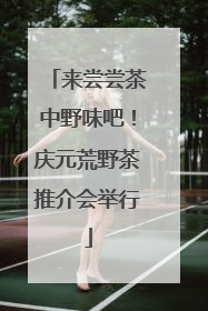 来尝尝茶中野味吧！庆元荒野茶推介会举行