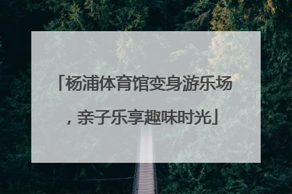杨浦体育馆变身游乐场，亲子乐享趣味时光