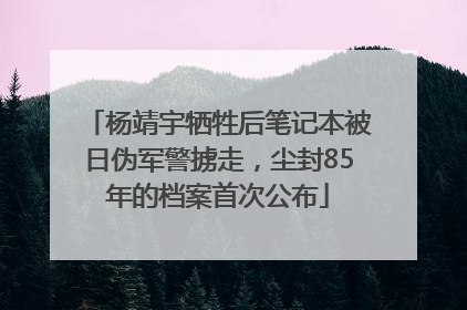 杨靖宇牺牲后笔记本被日伪军警掳走，尘封85年的档案首次公布