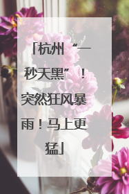 杭州“一秒天黑”！突然狂风暴雨！马上更猛