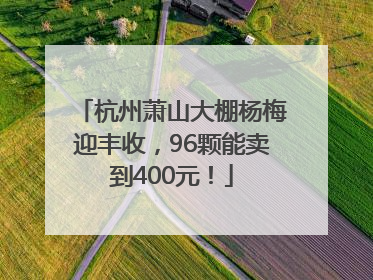 杭州萧山大棚杨梅迎丰收，96颗能卖到400元！