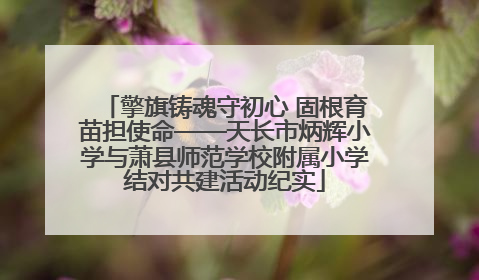 擎旗铸魂守初心 固根育苗担使命——天长市炳辉小学与萧县师范学校附属小学结对共建活动纪实