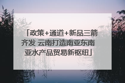 政策+通道+新品三箭齐发 云南打造南亚东南亚水产品贸易新枢纽