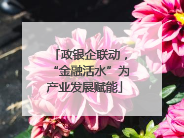 政银企联动，“金融活水”为产业发展赋能