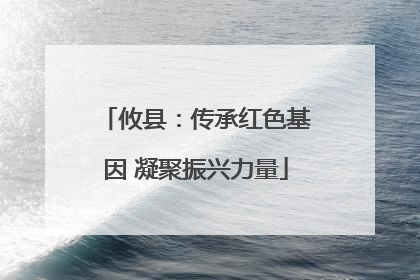 攸县：传承红色基因 凝聚振兴力量