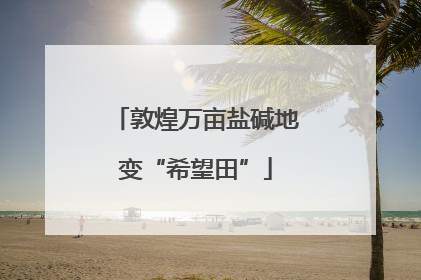 敦煌万亩盐碱地变“希望田”